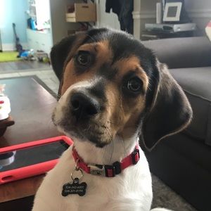 Meet your Posher, Darline